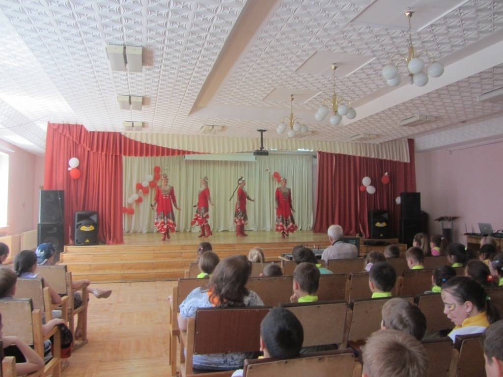 IMG 4421